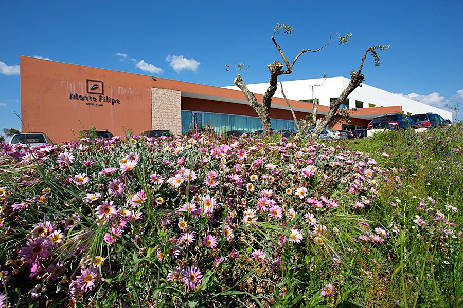 Monte Filipe Hotel Alpalhão Εξωτερικό φωτογραφία